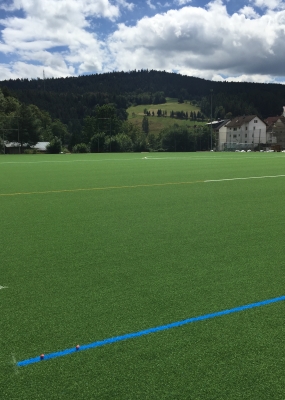 Kunstrasenerneuerung - 29.07.2016 der neue Rasens wird verlegt