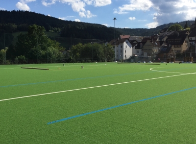 Kunstrasenerneuerung - 01.08.2016 die Linien werden eingebracht