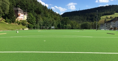Kunstrasenerneuerung - 01.08.2016 die Linien werden eingebracht